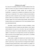 ¿Tenemos un yin y yang?