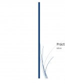 Práctica 5 Movimiento Rectilineo Uniformemente Acelerado