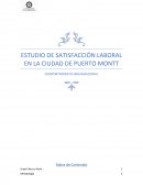 ESTUDIO DE SATISFACCIÓN LABORAL EN LA CIUDAD DE PUERTO MONTT