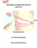 Plan de MKT Mercadotecnia