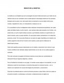 COMO SE DA EL ENSAYO DE LA BIOETICA