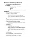 Compartimiento supratentorial