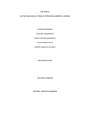 Ensayo de Río Atrato como sujeto de derechos