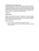 Cuales son los Antecedentes servicio de guía turística