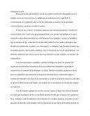 ENSAYO SOBRE COMO ME VEO EN LA SENECTUD