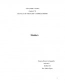 ¿De qué manera podría Toby Lyman utilizar su conocimiento en torno a los estilos de tomar decisiones en su nuevo empleo?