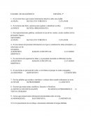 EXAMEN DE DIAGNÓSTICO ESPAÑOL 2°