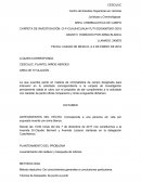 Como es que se da un buen Ejemplo de dictamen