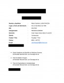 Ejemplo de un Curriculum vitae