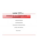 CONCLUSIONES SOBRE LA IMPORTANCIA DE LA INVESTIGACIÓN EN EL ÁMBITO JURÍDICO