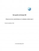 Influencia de los carbohidratos en la diabetes mellitus tipo II