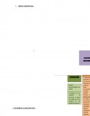 Mapa coneptual NIA 200 - 210