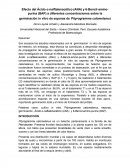 Efecto del Ácido α-nalftalenacético (ANA) y 6-Bencil-amino-purina (BAP) a diferentes concentraciones sobre la germinación in vitro de esporas de Pityrogramma calomelanus
