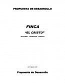 Contabilidad computarizada FINCA “EL CRISTO”