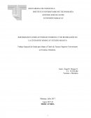 BAR RODANTE COMO ACTIVIDAD TURISTICA Y DE RECREACIÓN EN LA CIUDAD DE MARACAY ESTADO ARAGUA