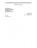 ¿Qué criterios están utilizando en sus instituciones para definir la discapacidad intelectual?