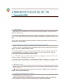 Caracteristicas de tu grupo trabajando