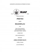 Campo Magnetico Resultados Experimentales