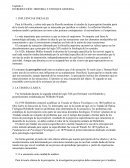 INFLUENCIAS INICIALES