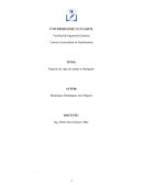 La razón del por qué comer insectos