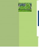 Como se da El huerto escolar