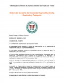 Criterios para la remisión de proyectos Sistema Tipo Inspección Federal