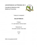 SALUD PÚBLICA Funciones de la salud pública
