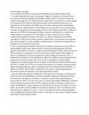 Pec Psicología Fisiológica