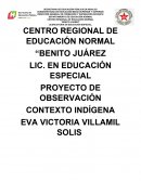 PROYECTO DE OBSERVACIÓN CONTEXTO INDÍGENA