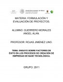 EL NUEVO ENSAYO SOBRE FACTORES DE ÉXITO EN LOS PROCESOS DE CREACIÓN DE EMPRESAS DE BASE TECNOLÓGICA.