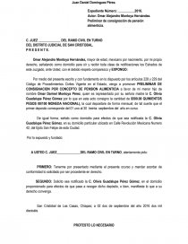 FORMATO PARA PRELIMINARES DE CONSIGNACION - Informes - wagner1984