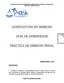 CONTENIDO TEMATICO: PARCTICA DE DERECHO PENAL