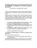 ESTRUCTURA Y FUNCIONES CELULARES