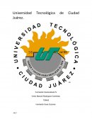 Implementacion de la dministración por valores Definición de la empresa