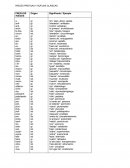 RAÍCES PREFIJAS Y SUFIJAS CLÁSICAS