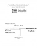¿Qué entiende por Big Data y cuál es su importancia en la actualidad?