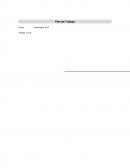 Plan de Trabajo operación fronteriza en el Perú