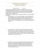 Árboles de laurisilva (Bosque Verde)