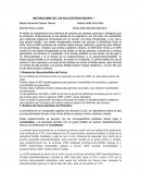 METABOLISMO DE LOS NUCLEÓTIDOS-EQUIPO 1