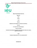 Importancia de la información dentro de la cadena logística de suministros.