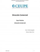 Caso Practico - Dirección Comercial