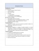 Descripción de Puestos Gerente Comercial