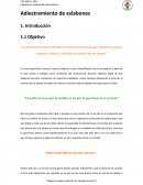 La formación integral de líderes Cristianos de modo que podamos conocer nuestros valores y ponerlos al servicio de los demás