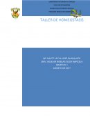 Taller de homeostasis. Elementos que deben de mantenerse constantes en el medio interno para que la célula funcione