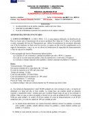 PRÁCTICA CALIFICADA Nº 04 PLANEAMIENTO Y CONTROL DE OPERACIONES