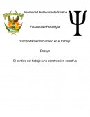 Ensayo Comportamiento humano en el trabajo