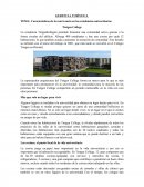 Características de la convivencia en las residencias universitarias