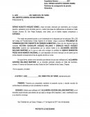 FORMATO PARA PRELIMINARES DE CONSIGNACION