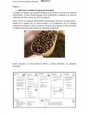 El modelo de negocio que presenta Starbucks