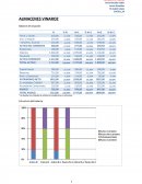 Almacenes Vinaroz Balance de situación
